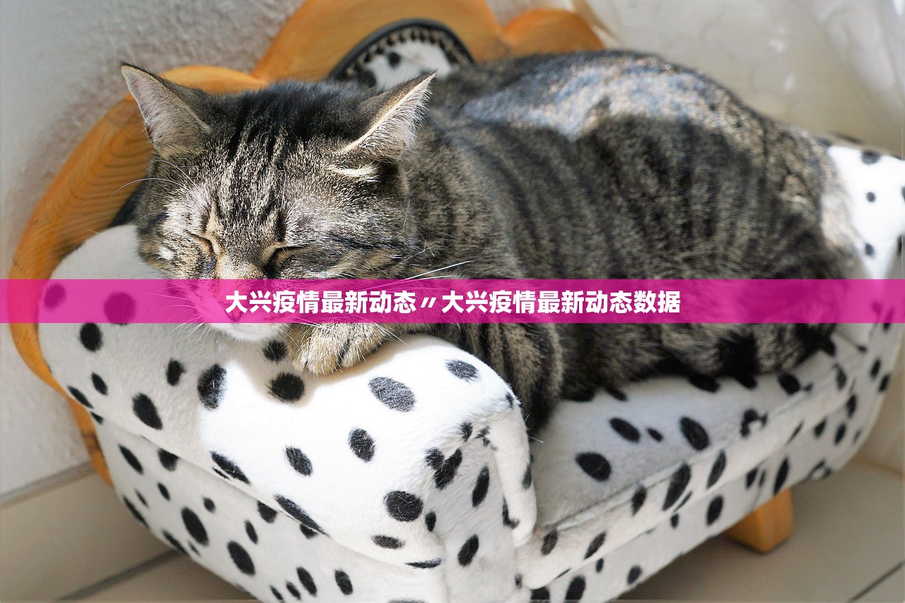 大兴疫情最新动态〃大兴疫情最新动态数据