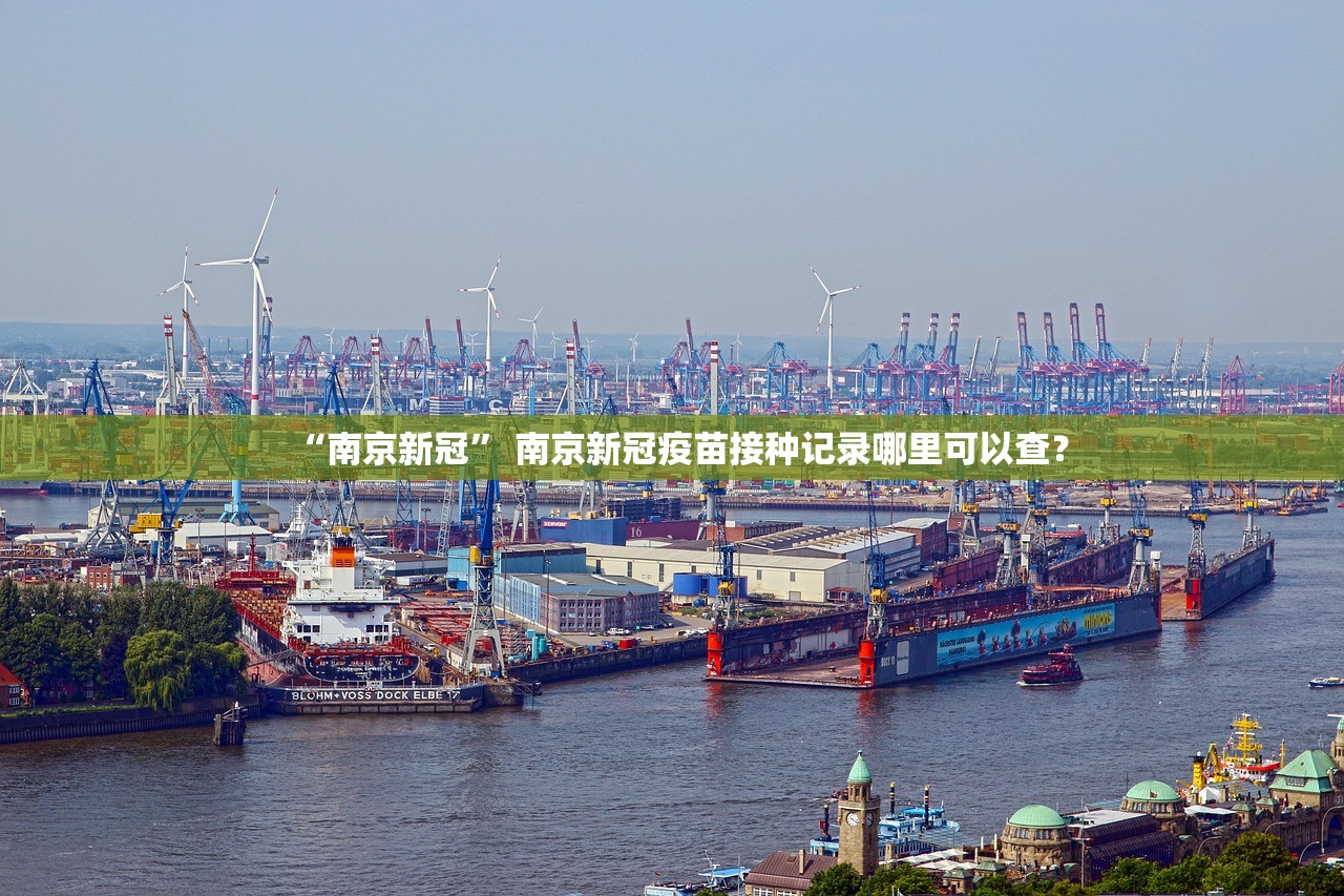 “南京新冠” 南京新冠疫苗接种记录哪里可以查？