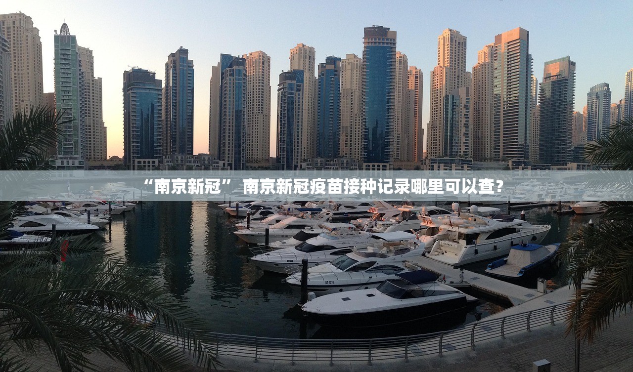 “南京新冠” 南京新冠疫苗接种记录哪里可以查？